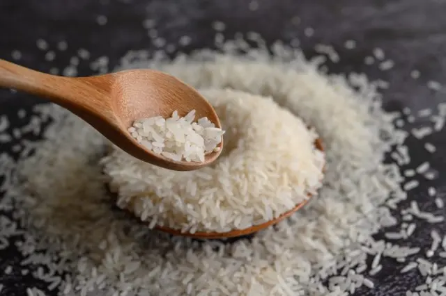 Rice Spoon