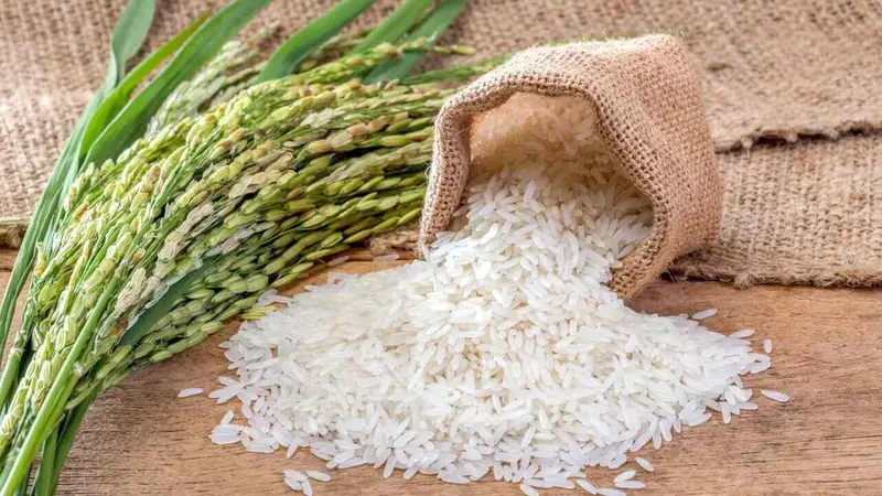 The Global Appeal of Pakistani Rice: A Legacy of Quality and Trust