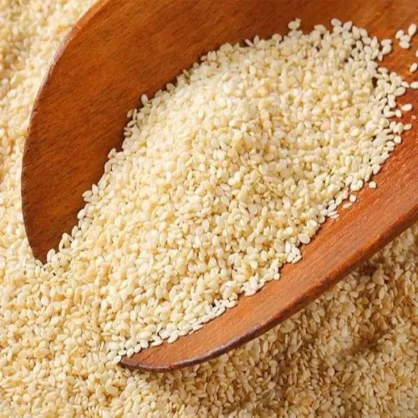 Transforming Sesame from Seed to Solution – United Traders’ Takeaways from the April 2025 Agriculture Workshop