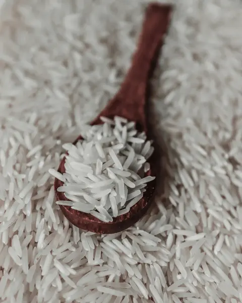 IRRI-6 Rice – The Workhorse Behind Pakistan’s Global Rice Trade
